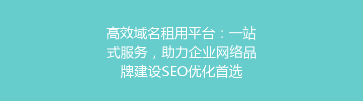 高效域名租用平台：一站式服务，助力企业网络品牌建设SEO优化首选