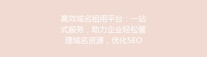 高效域名租用平台:一站式服务,助力企业轻松管理域名资源,优化SEO效果