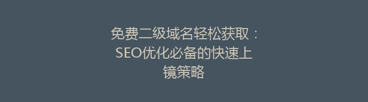 免费二级域名轻松获取：SEO优化必备的快速上镜策略