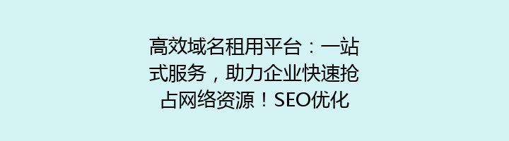 高效域名租用平台:一站式服务,助力企业快速抢占网络资源!SEO优化标题