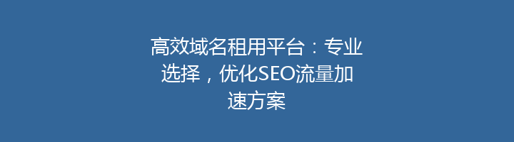 高效域名租用平台：专业选择，优化SEO流量加速方案