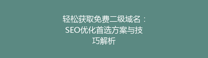 轻松获取免费二级域名：SEO优化首选方案与技巧解析