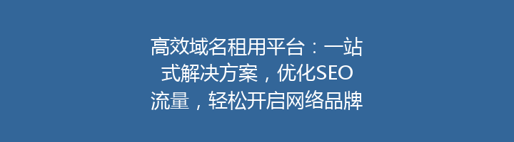 高效域名租用平台：一站式解决方案，优化SEO流量，轻松开启网络品牌之旅