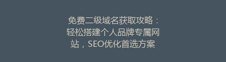免费二级域名获取攻略：轻松搭建个人品牌专属网站，SEO优化首选方案！