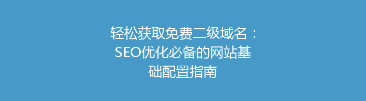 轻松获取免费二级域名：SEO优化必备的网站基础配置指南