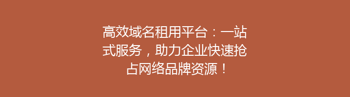 高效域名租用平台：一站式服务，助力企业快速抢占网络品牌资源！