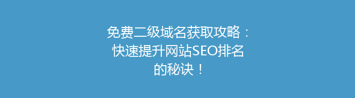 免费二级域名获取攻略：快速提升网站SEO排名的秘诀！