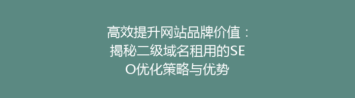 高效提升网站品牌价值：揭秘二级域名租用的SEO优化策略与优势
