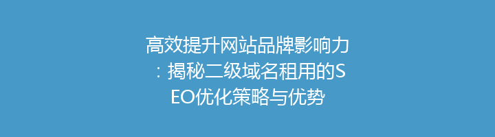 高效提升网站品牌影响力：揭秘二级域名租用的SEO优化策略与优势