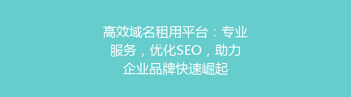 高效域名租用平台：专业服务，优化SEO，助力企业品牌快速崛起