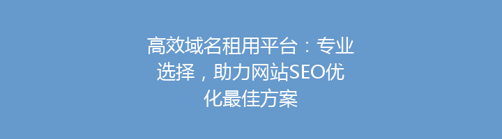 高效域名租用平台:专业选择,助力网站SEO优化最佳方案