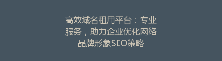高效域名租用平台：专业服务，助力企业优化网络品牌形象SEO策略