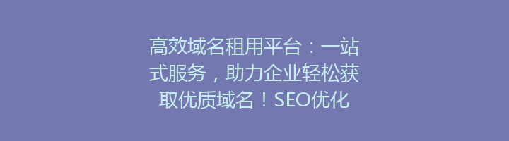高效域名租用平台：一站式服务，助力企业轻松获取优质域名！SEO优化首选