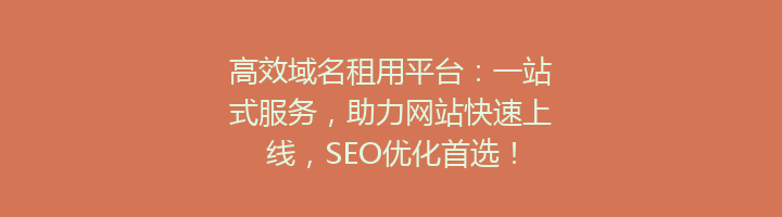 高效域名租用平台：一站式服务，助力网站快速上线，SEO优化首选！