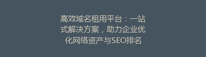 高效域名租用平台：一站式解决方案，助力企业优化网络资产与SEO排名