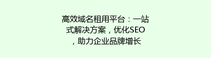 高效域名租用平台:一站式解决方案,优化SEO,助力企业品牌增长