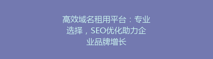 高效域名租用平台:专业选择,SEO优化助力企业品牌增长