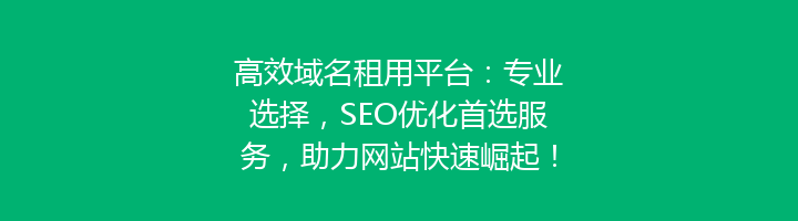 高效域名租用平台:专业选择,SEO优化首选服务,助力网站快速崛起!