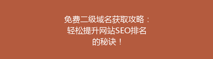 免费二级域名获取攻略:轻松提升网站SEO排名的秘诀!