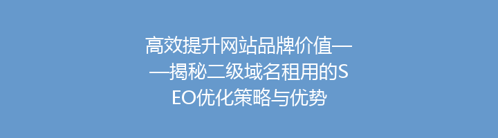 高效提升网站品牌价值——揭秘二级域名租用的SEO优化策略与优势
