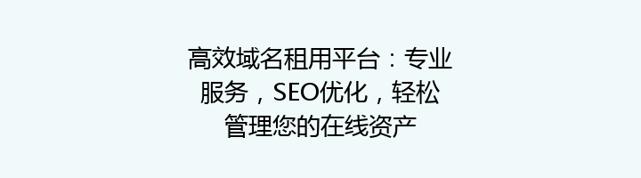 高效域名租用平台：专业服务，SEO优化，轻松管理您的在线资产