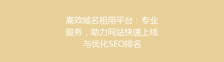 高效域名租用平台:专业服务,助力网站快速上线与优化SEO排名