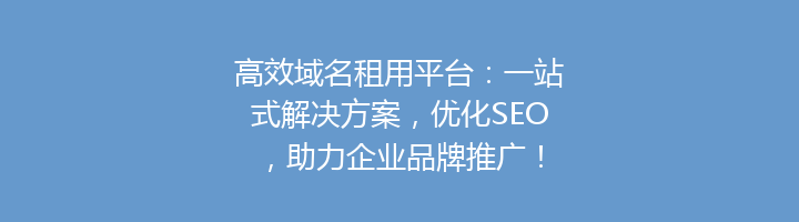 高效域名租用平台:一站式解决方案,优化SEO,助力企业品牌推广!