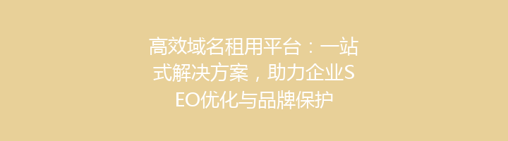 高效域名租用平台:一站式解决方案,助力企业SEO优化与品牌保护