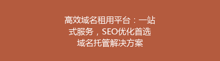 高效域名租用平台:一站式服务,SEO优化首选域名托管解决方案