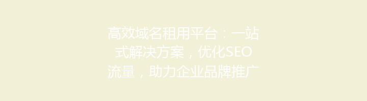 高效域名租用平台：一站式解决方案，优化SEO流量，助力企业品牌推广