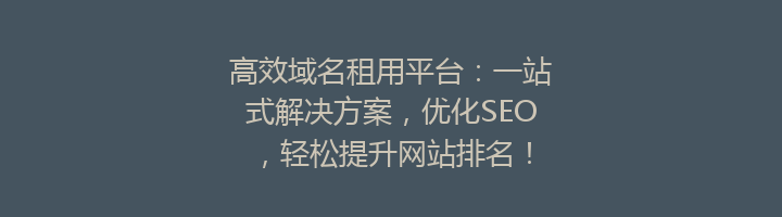 高效域名租用平台：一站式解决方案，优化SEO，轻松提升网站排名！