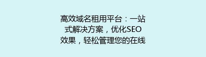 高效域名租用平台:一站式解决方案,优化SEO效果,轻松管理您的在线资产