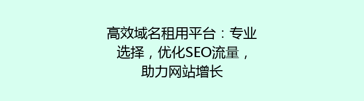 高效域名租用平台：专业选择，优化SEO流量，助力网站增长