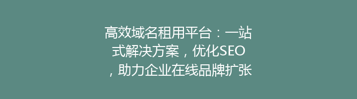 高效域名租用平台:一站式解决方案,优化SEO,助力企业在线品牌扩张
