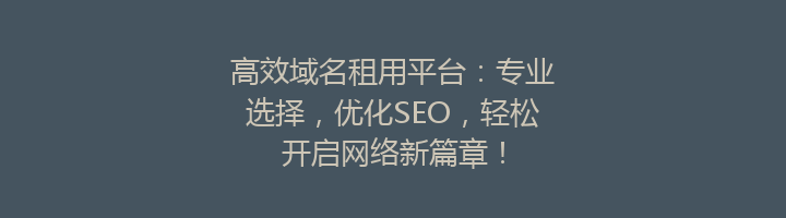 高效域名租用平台：专业选择，优化SEO，轻松开启网络新篇章！