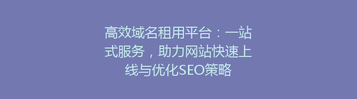 高效域名租用平台:一站式服务,助力网站快速上线与优化SEO策略