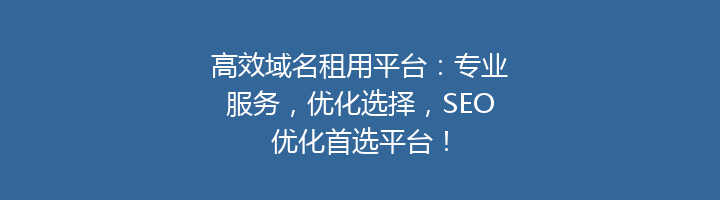 高效域名租用平台：专业服务，优化选择，SEO优化首选平台！