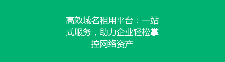 高效域名租用平台:一站式服务,助力企业轻松掌控网络资产