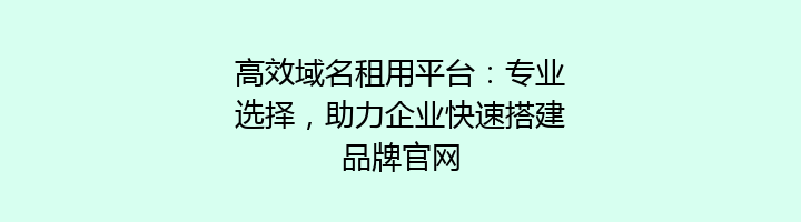 高效域名租用平台:专业选择,助力企业快速搭建品牌官网