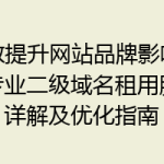 高效提升网站品牌影响力：专业二级域名租用服务详解及优化指南