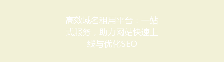 高效域名租用平台:一站式服务,助力网站快速上线与优化SEO