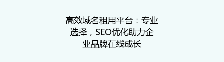 高效域名租用平台：专业选择，SEO优化助力企业品牌在线成长