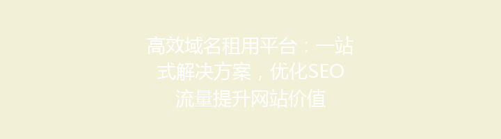 高效域名租用平台:一站式解决方案,优化SEO流量提升网站价值