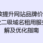 高效提升网站品牌价值：专业二级域名租用服务详解及优化指南