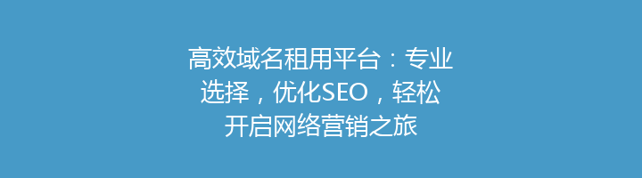 高效域名租用平台:专业选择,优化SEO,轻松开启网络营销之旅