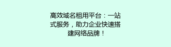 高效域名租用平台：一站式服务，助力企业快速搭建网络品牌！