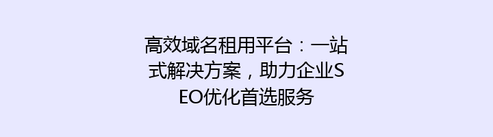 高效域名租用平台:一站式解决方案,助力企业SEO优化首选服务