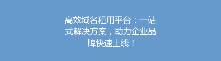 高效域名租用平台：一站式解决方案，助力企业品牌快速上线！