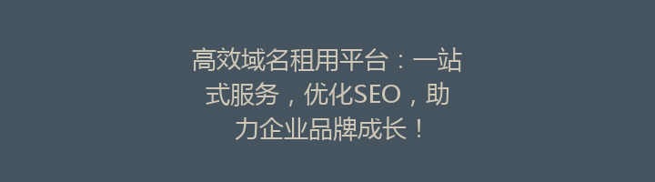 高效域名租用平台：一站式服务，优化SEO，助力企业品牌成长！