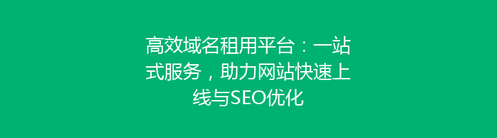 高效域名租用平台：一站式服务，助力网站快速上线与SEO优化